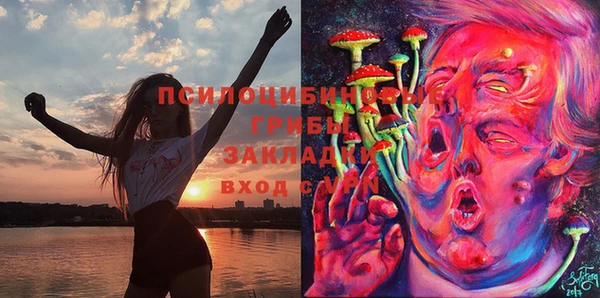 стафф Арсеньев
