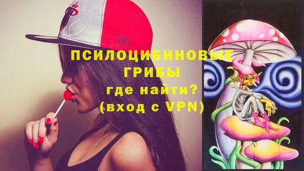стафф Арсеньев
