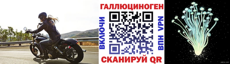 Галлюциногенные грибы GOLDEN TEACHER  Артёмовск 